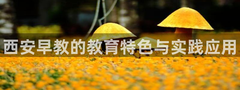天狮娱乐然