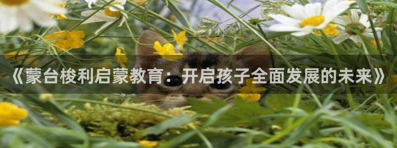 天狮娱乐彩票官网：《蒙台梭利启蒙教育：开启孩子全面发展的未来》