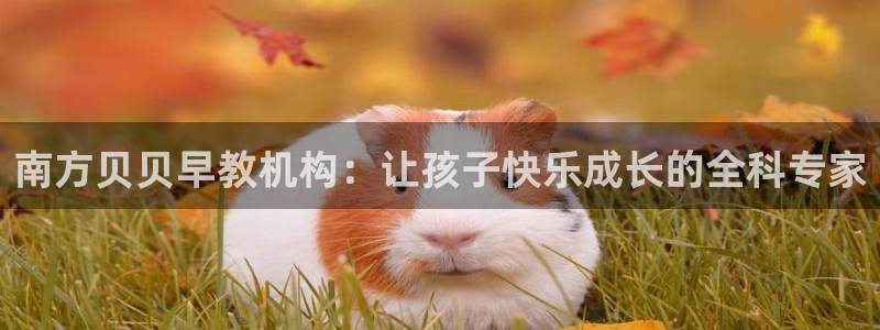 天狮娱乐縕不稳当：南方贝贝早教机构：让孩子快乐成长的全科专家