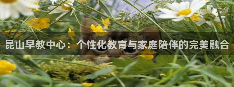 天狮娱乐工资：昆山早教中心：个性化教育与家庭陪伴的完美融合