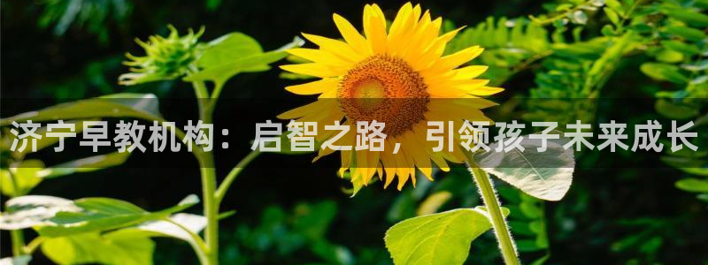 天狮娱乐注册登陆：济宁早教机构：启智之路，引领孩子未来成长