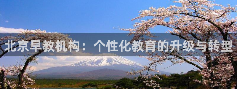 天狮娱乐平台招商：北京早教机构：个性化教育的升级与转型