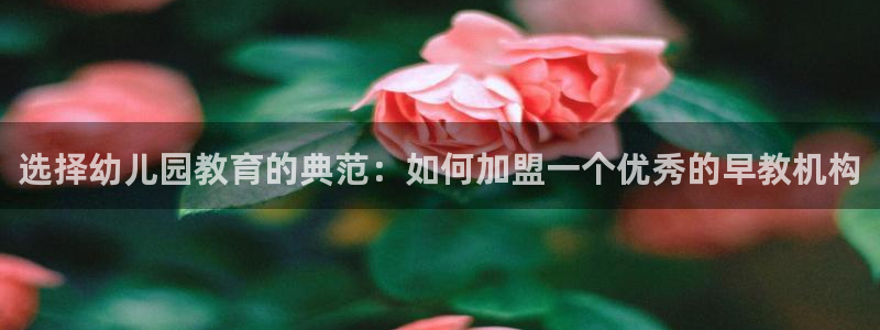天狮娱乐 招商扣：选择幼儿园教育的典范：如何加盟一个优秀的早教机构