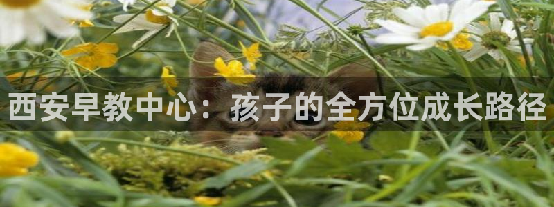 天狮娱乐学：西安早教中心：孩子的全方位成长路径