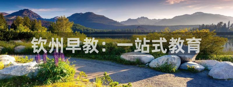 天狮娱乐招商扣：钦州早教：一站式教育