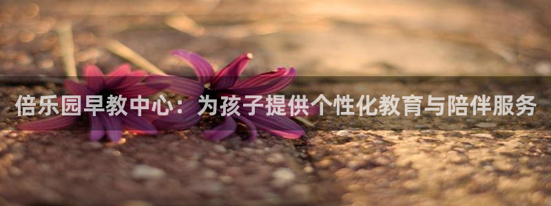 天狮娱乐_99399天神_加扣C：倍乐园早教中心：为孩子提供个性化教育与陪伴服务