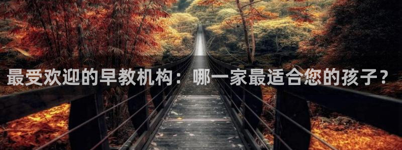 天狮娱乐app下载：最受欢迎的早教机构：哪一家最适合您的孩子？