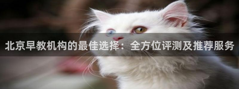 天狮娱乐网址：北京早教机构的最佳选择：全方位评测及推荐服务