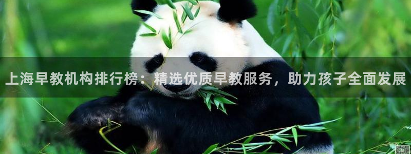 天狮娱乐Q 78139老板：上海早教机构排行榜：精选优质早教服务，助力孩子全面发