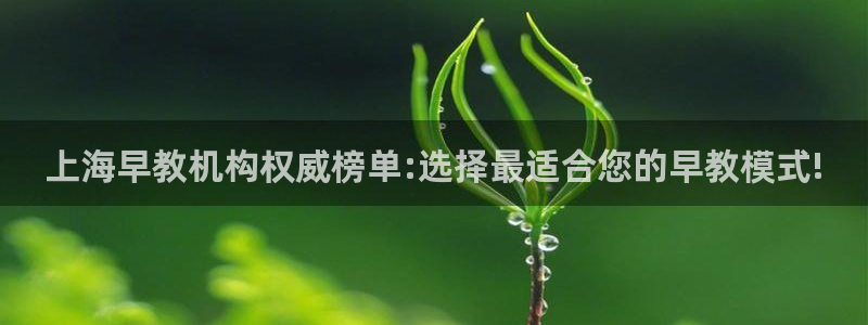 天狮娱乐平台是赌博吗：上海早教机构权威榜单:选择最适合您的早教模式!