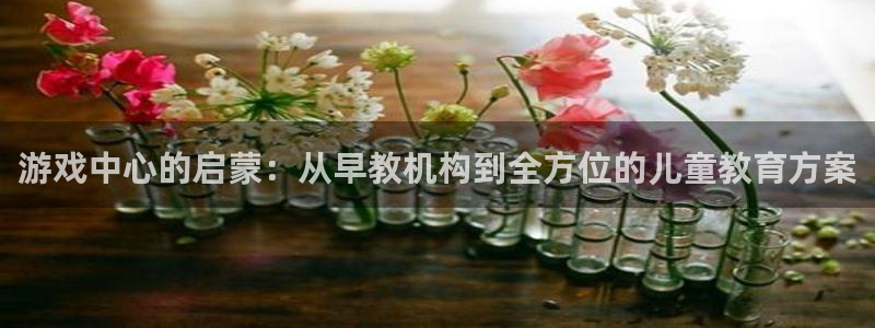 天狮娱乐怎么做代理：游戏中心的启蒙：从早教机构到全方位的儿童教育方案