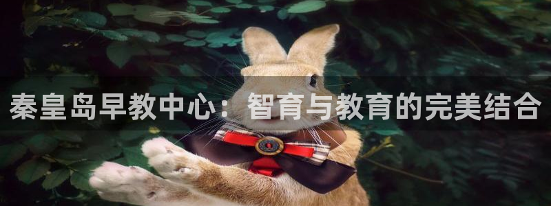 天狮娱乐购彩平台：秦皇岛早教中心：智育与教育的完美结合