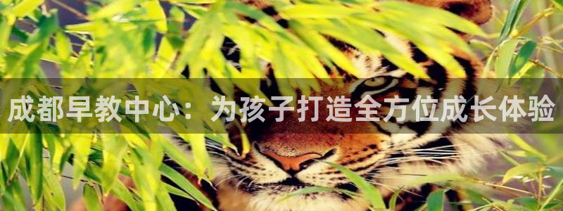 天狮娱乐谁在玩：成都早教中心：为孩子打造全方位成长体验