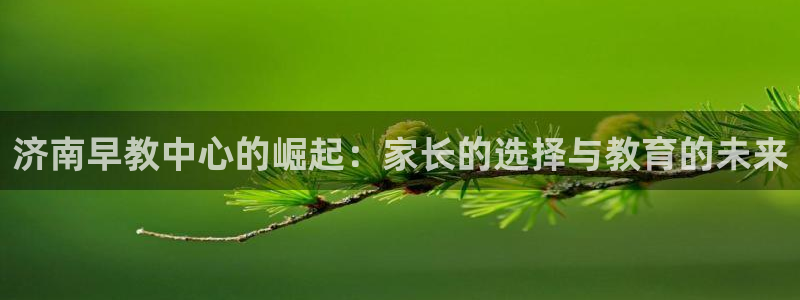 天狮娱乐主管q42862s：济南早教中心的崛起：家长的选择与教育的未来