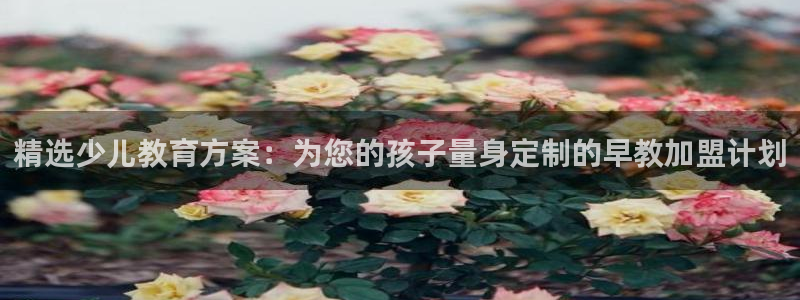 天狮娱乐q：精选少儿教育方案：为您的孩子量身定制的早教加盟计划
