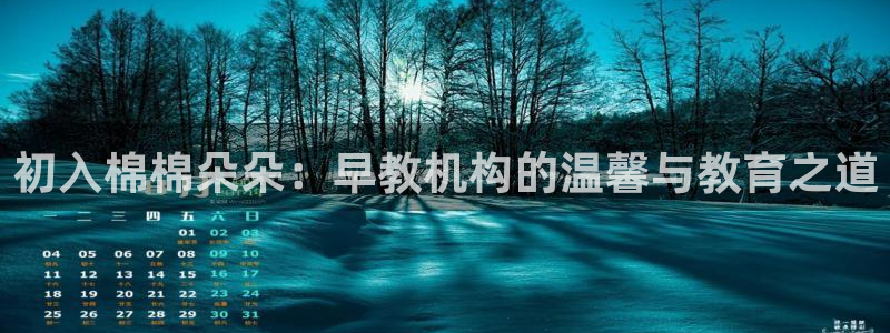 天狮娱乐真的假的：初入棉棉朵朵：早教机构的温馨与教育之道
