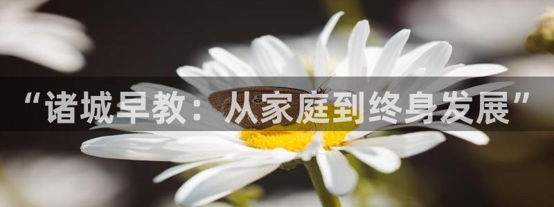 石家庄天狮娱乐会所：“诸城早教：从家庭到终身发展”