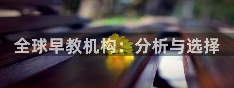 天狮娱乐首选：全球早教机构：分析与选择