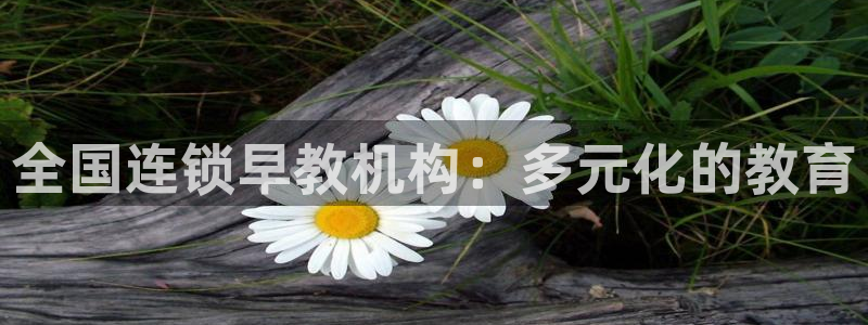 天狮娱乐61116：全国连锁早教机构：多元化的教育