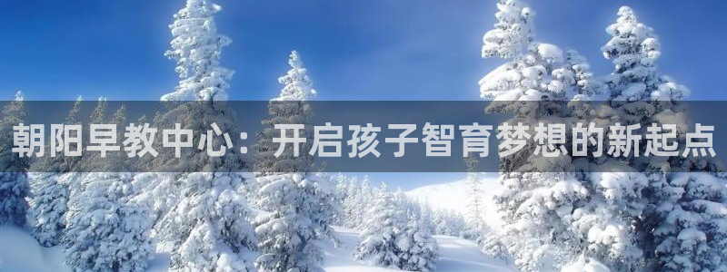 天狮娱乐来0 1311：朝阳早教中心：开启孩子智育梦想的新起点