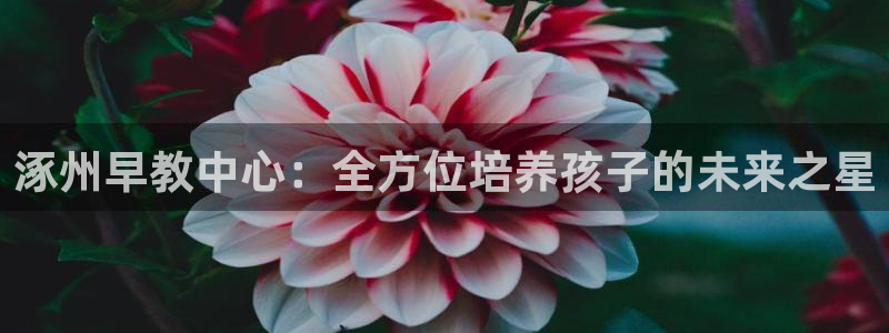 天狮学院娱乐：涿州早教中心：全方位培养孩子的未来之星