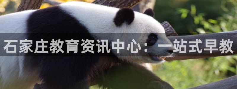 天狮娱乐开好：石家庄教育资讯中心：一站式早教