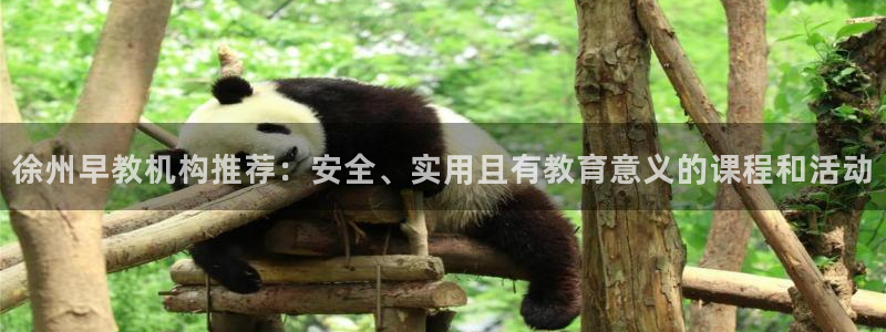 天狮娱乐代理制度：徐州早教机构推荐：安全、实用且有教育意义的课程和活动