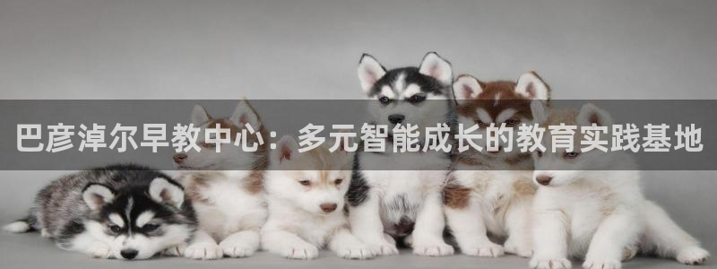 天狮娱乐主管57757：巴彦淖尔早教中心：多元智能成长的教育实践基地