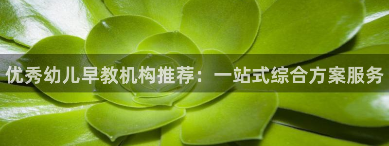 天狮娱乐招商29229：优秀幼儿早教机构推荐：一站式综合方案服务