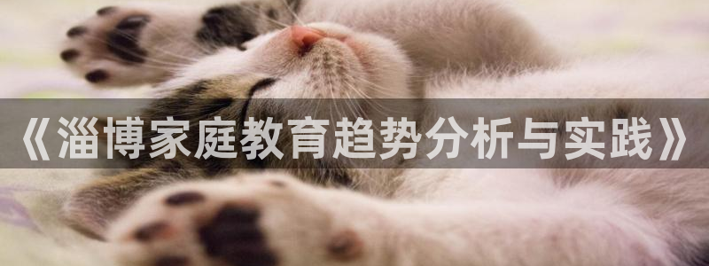 天狮娱乐c OO判官：《淄博家庭教育趋势分析与实践》