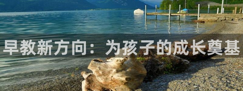 天狮娱乐39096股东：早教新方向：为孩子的成长奠基