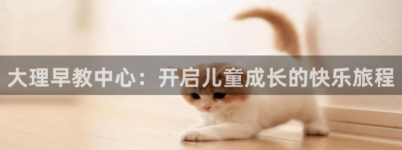 天狮娱乐 31661股z东：大理早教中心：开启儿童成长的快乐旅程