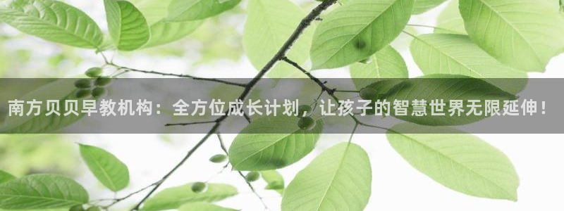 天狮娱乐 23976实z力：南方贝贝早教机构：全方位成长计划，让孩子的智慧世界无