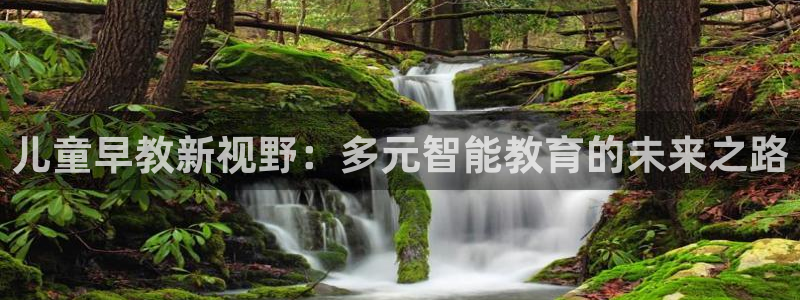 du天狮娱乐 主管注册官网：儿童早教新视野：多元智能教育的未来之路