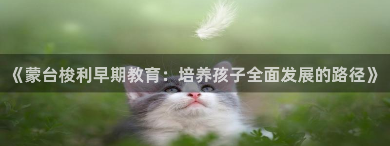 天狮娱乐真的假的：《蒙台梭利早期教育：培养孩子全面发展的路径》