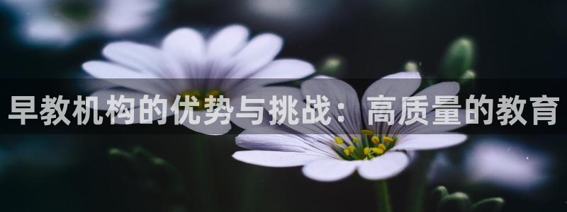 天狮娱乐彩票靠谱吗：早教机构的优势与挑战：高质量的教育