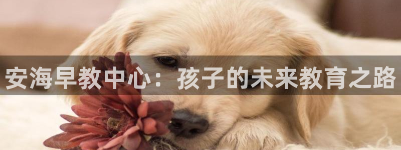 天狮娱乐 a内部29229：安海早教中心：孩子的未来教育之路