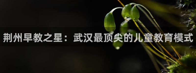 天狮娱乐学：荆州早教之星：武汉最顶尖的儿童教育模式
