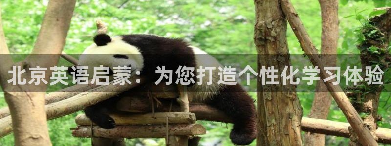 天狮娱乐最高待遇：北京英语启蒙：为您打造个性化学习体验