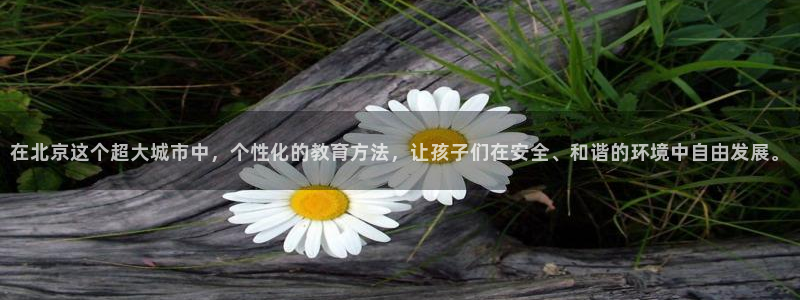 天狮娱乐主管：在北京这个超大城市中，个性化的教育方法，让孩子们在安全、和谐的环境