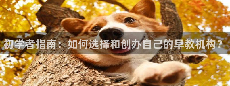 天狮娱乐代理最高多少钱：初学者指南：如何选择和创办自己的早教机构？