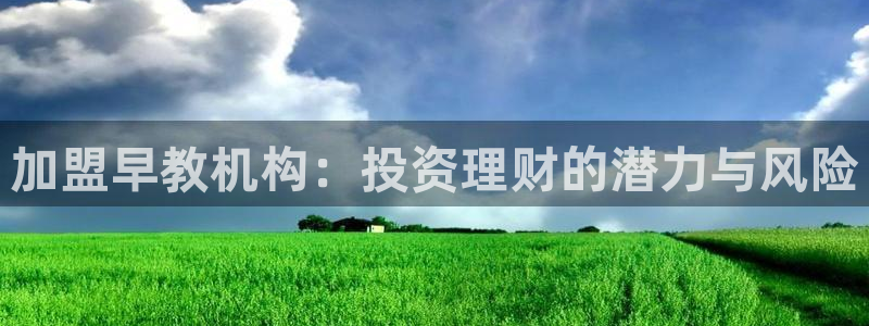 天狮娱乐招j商443593：加盟早教机构：投资理财的潜力与风险