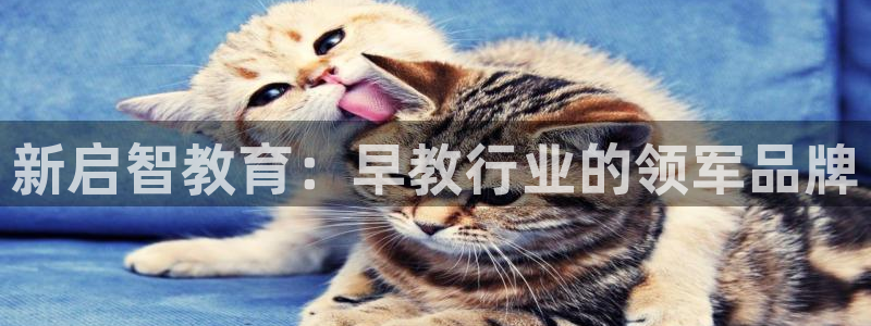 天狮会娱乐KTV会所怎么样：新启智教育：早教行业的领军品牌