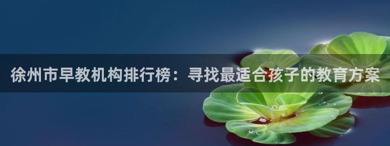 南京天狮娱乐会所：徐州市早教机构排行榜：寻找最适合孩子的教育方案