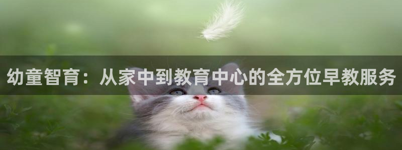 天狮娱乐指尖下载安装：幼童智育：从家中到教育中心的全方位早教服务