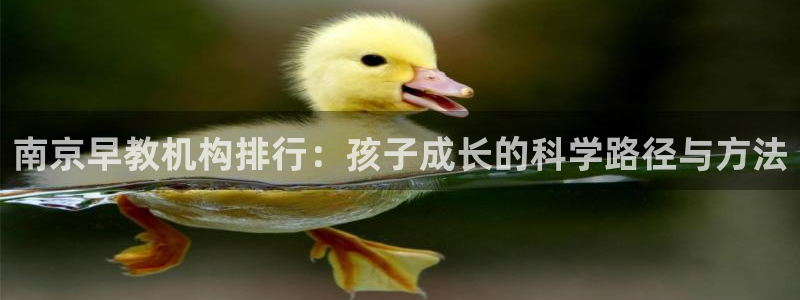 天狮娱乐 主管注册官网：南京早教机构排行：孩子成长的科学路径与方法