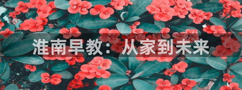 天狮娱乐怎么代理