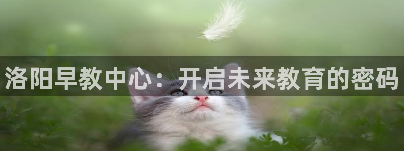 天狮娱乐 a招商60447：洛阳早教中心：开启未来教育的密码