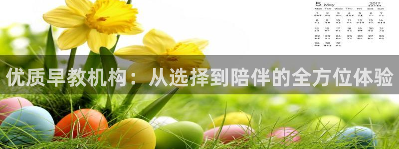 天狮娱乐p实 权：优质早教机构：从选择到陪伴的全方位体验