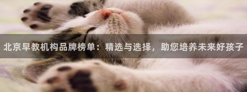 天狮娱乐股东主管：北京早教机构品牌榜单：精选与选择，助您培养未来好孩子